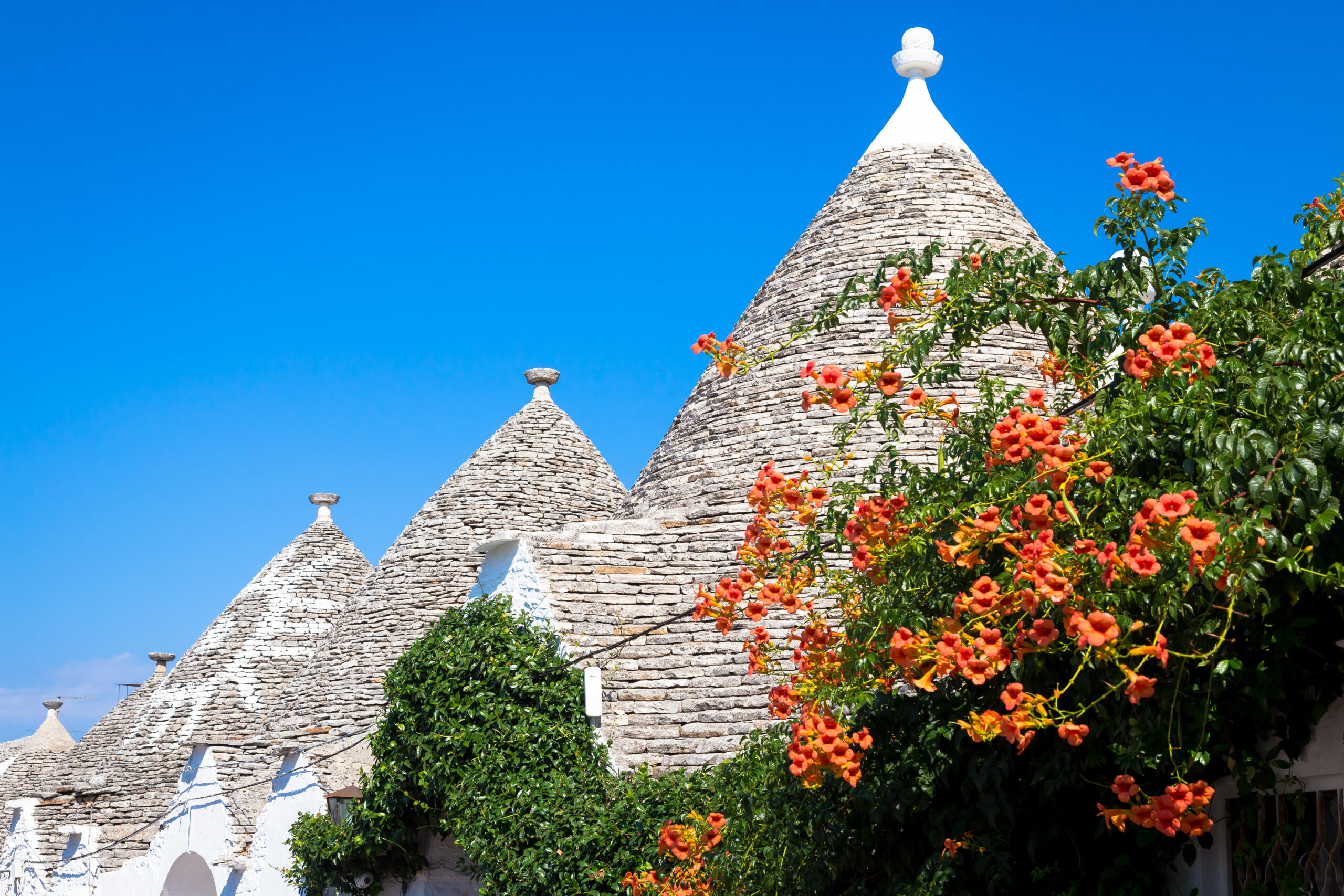 Apulia Trulli Alberobello Typical Houses