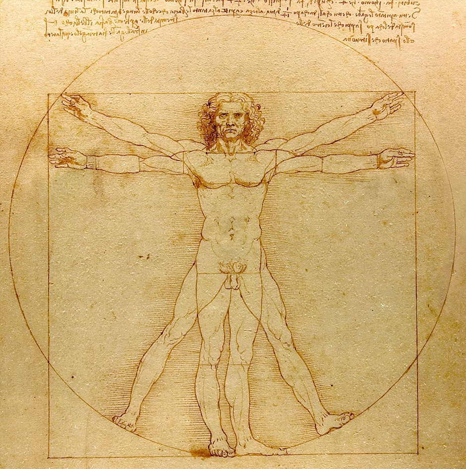 Vitruvian Man Leonardo Da Vinci Milan