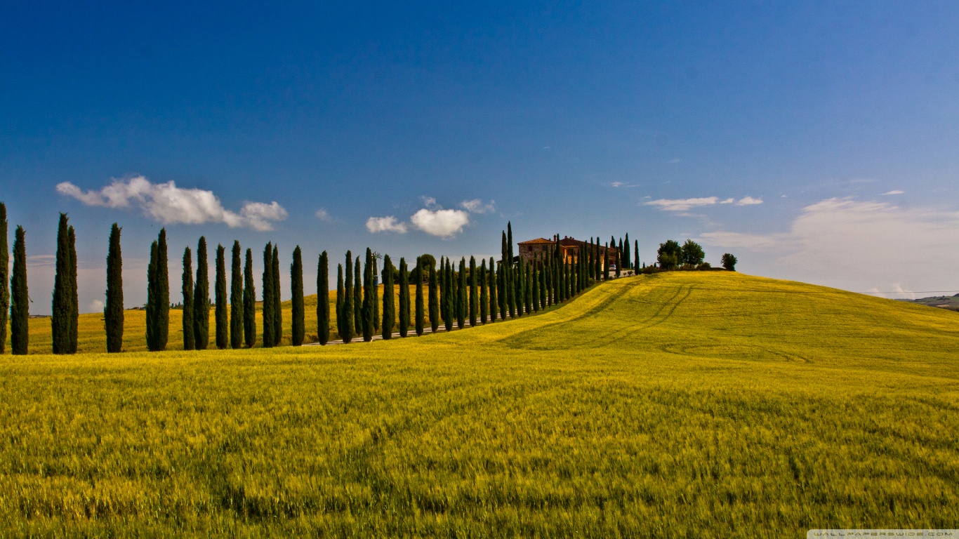 Tuscan Countryside nature wine